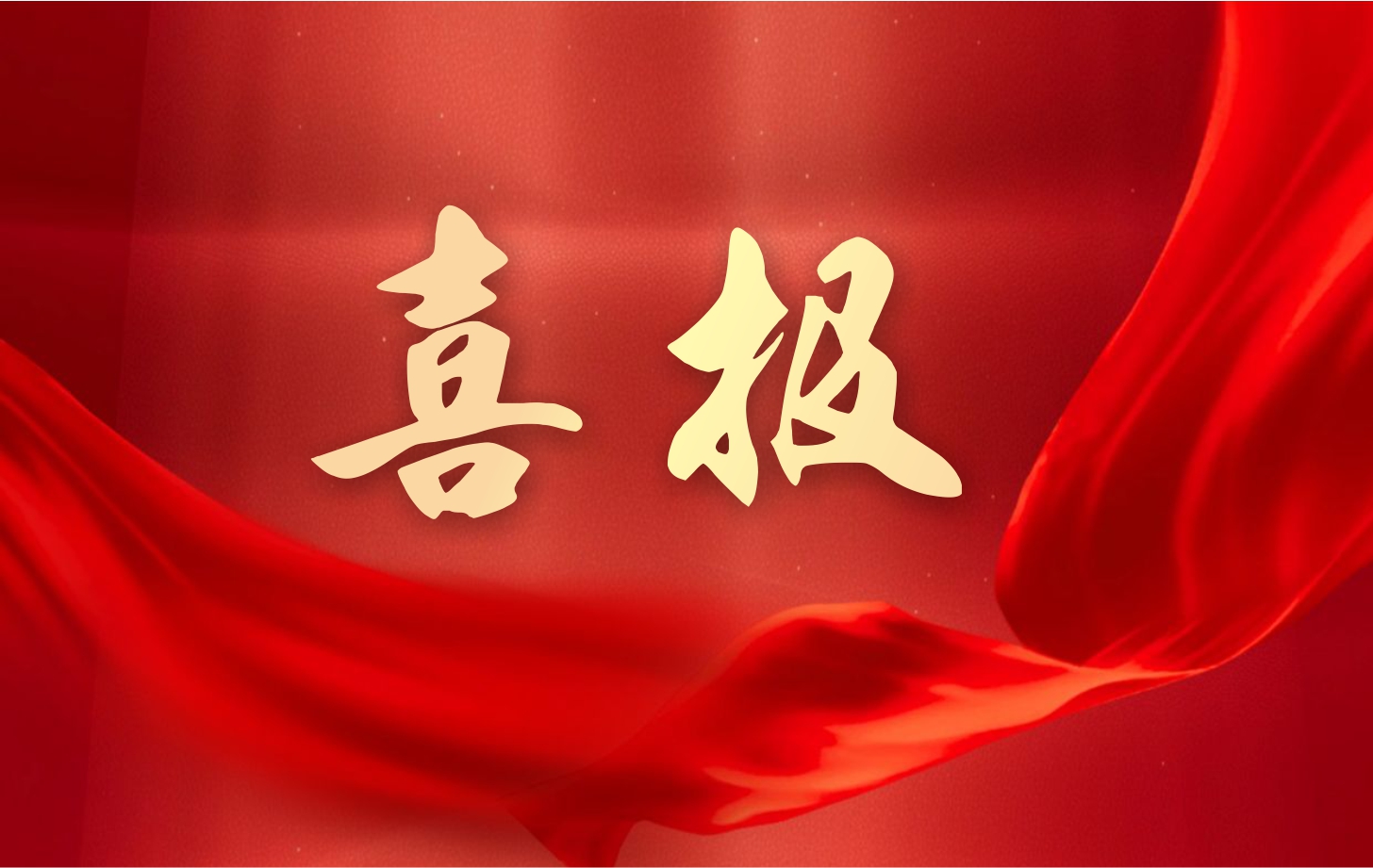營(yíng)收凈利雙增長(zhǎng)！依頓電子2025年一季度經(jīng)營(yíng)業(yè)績(jī)續(xù)寫高質(zhì)量發(fā)展華章